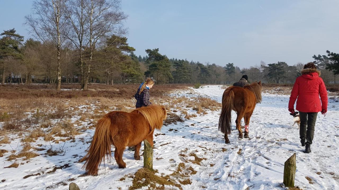 Chalet Op De Veluwe # Eiken Putten Eksteriør bilde