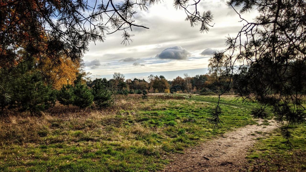 Chalet Op De Veluwe # Eiken Putten Eksteriør bilde
