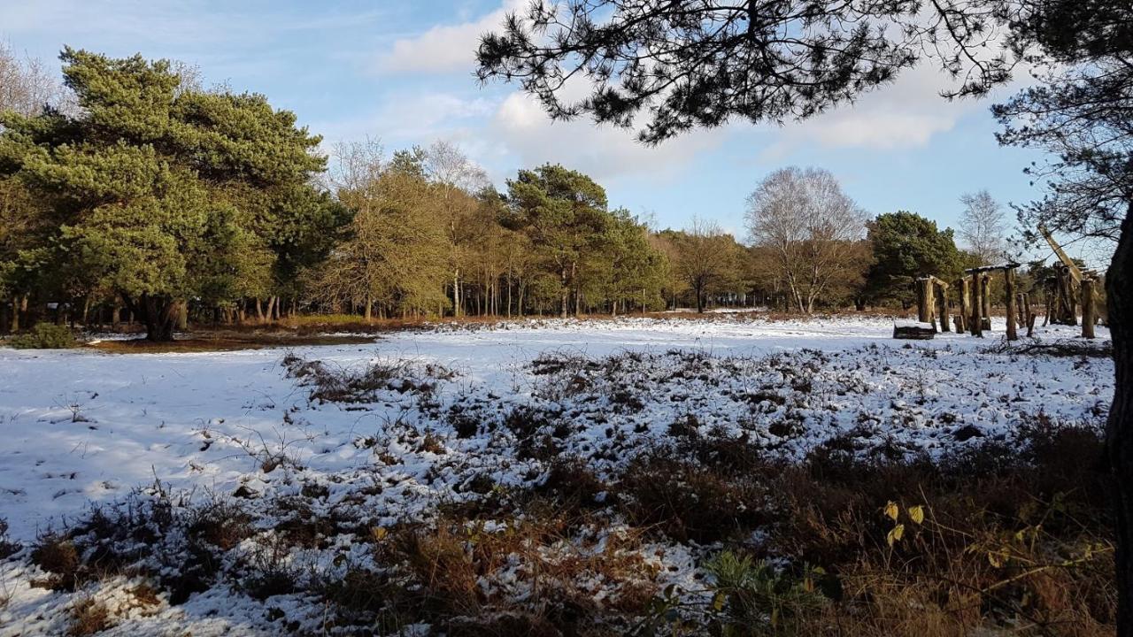 Chalet Op De Veluwe # Eiken Putten Eksteriør bilde