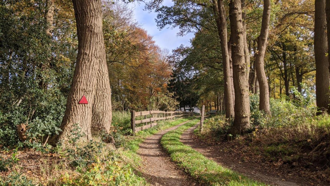 Chalet Op De Veluwe # Eiken Putten Eksteriør bilde